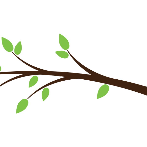branch
