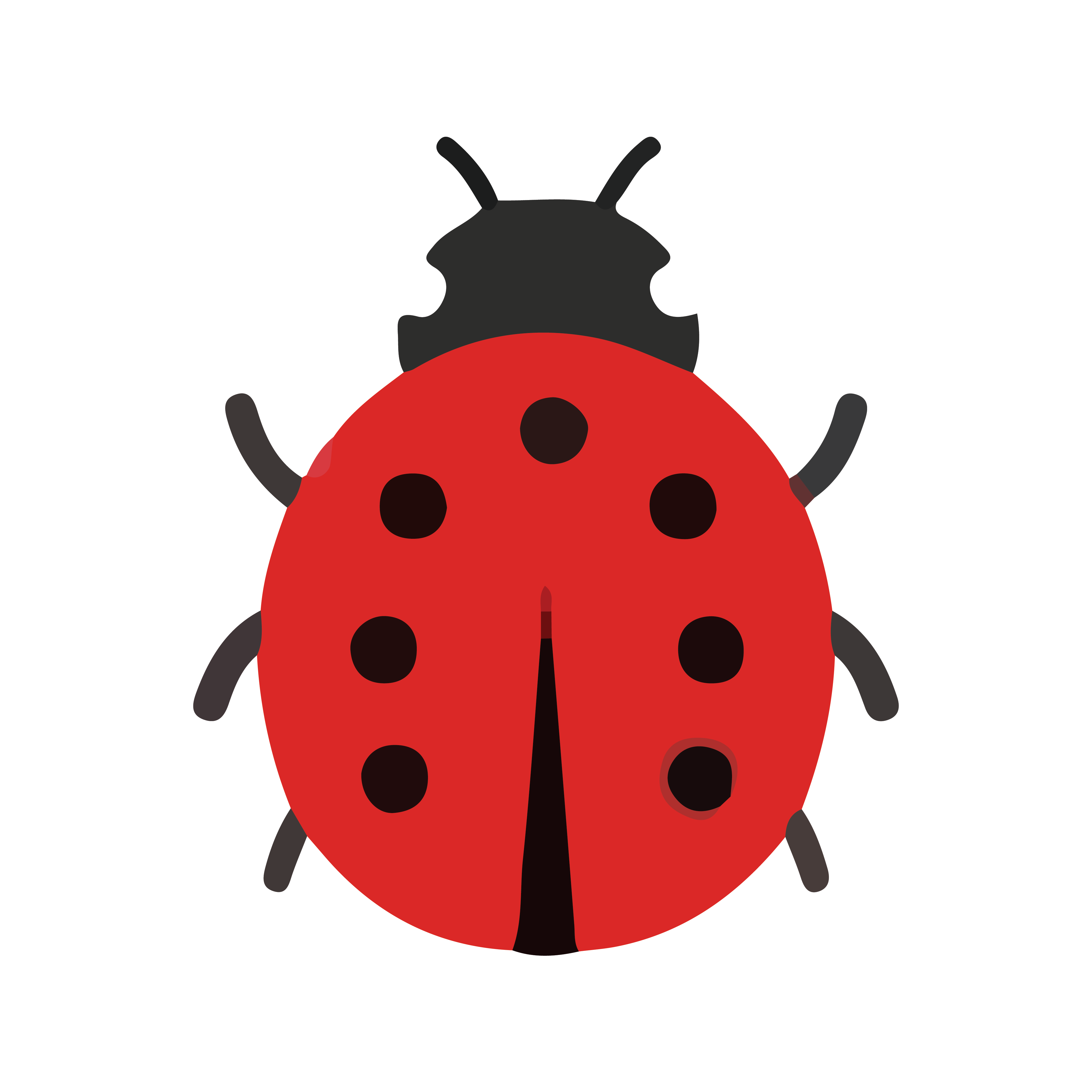 bug
