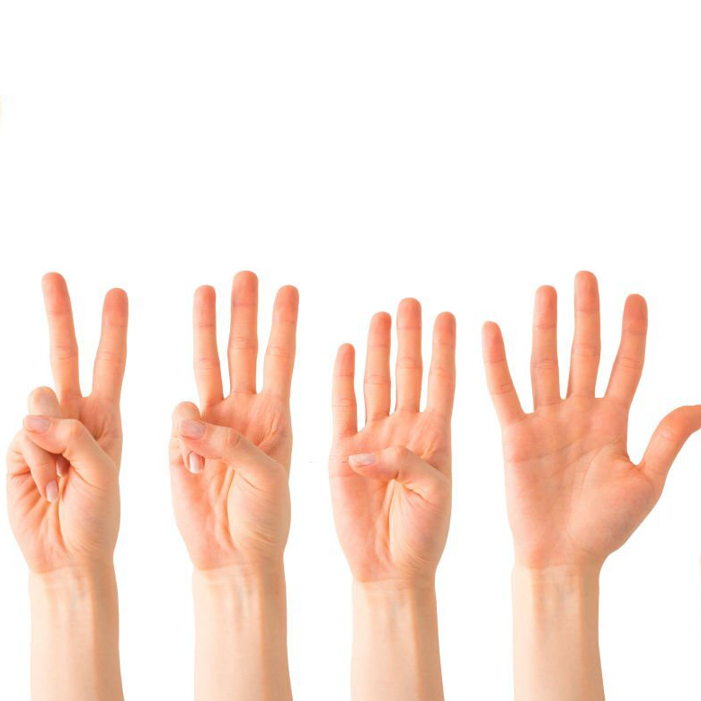 fingers
