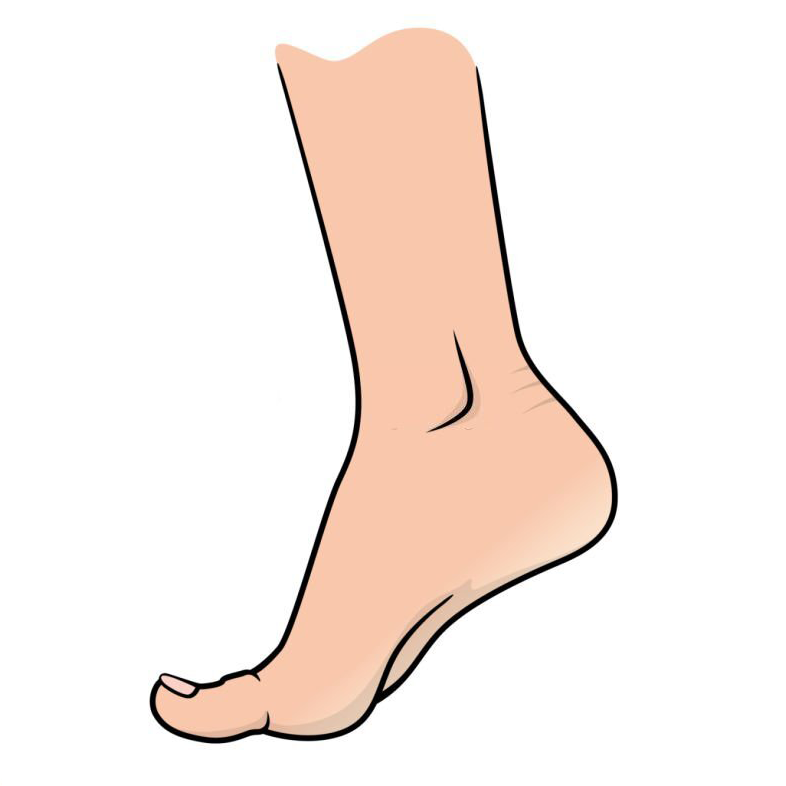 foot