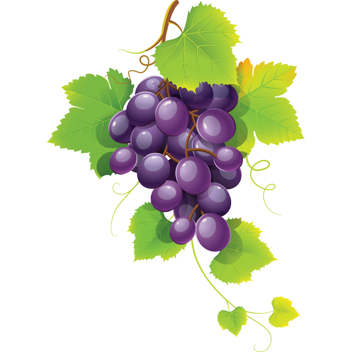 grapes