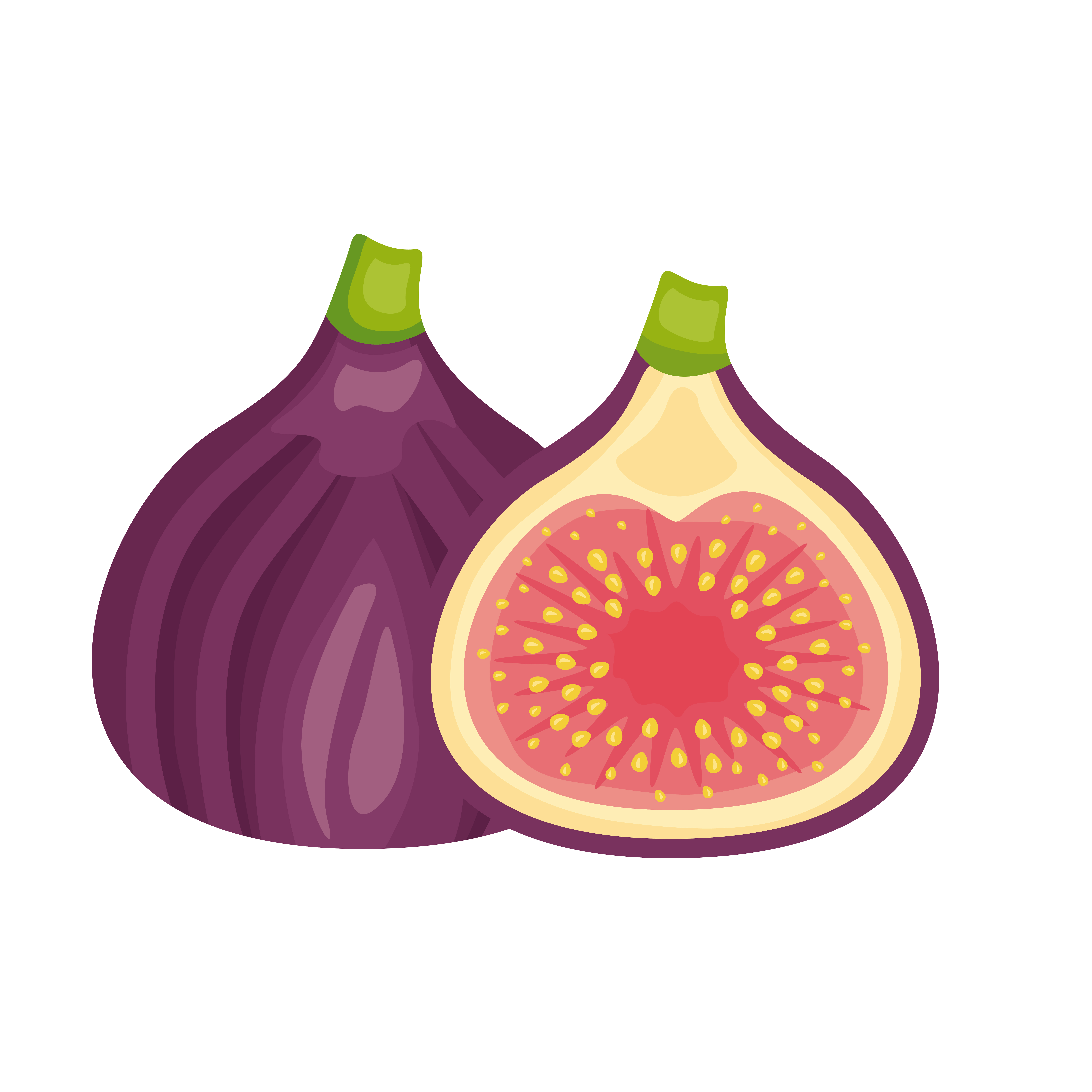 fig