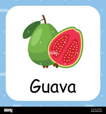 guavas