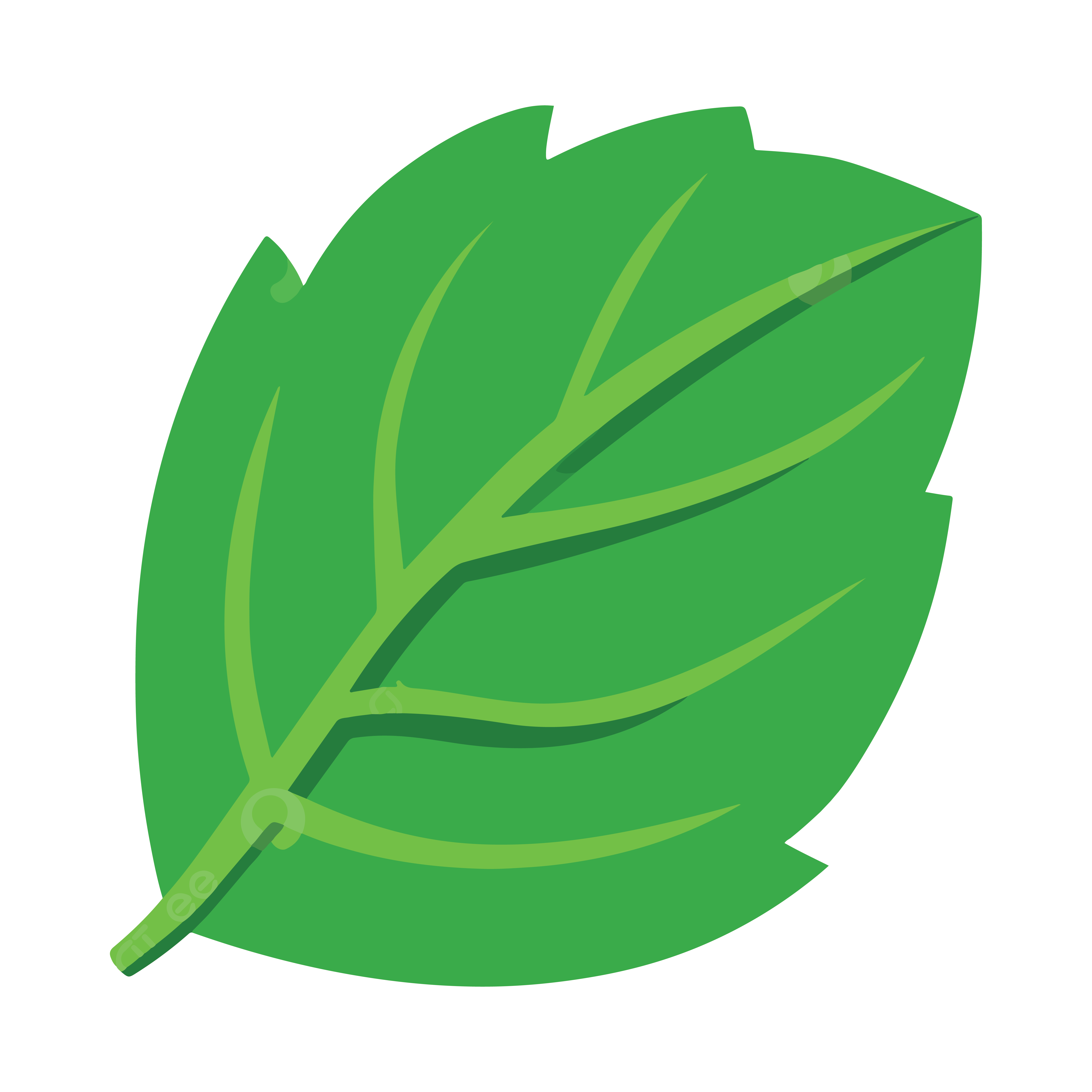 leaf