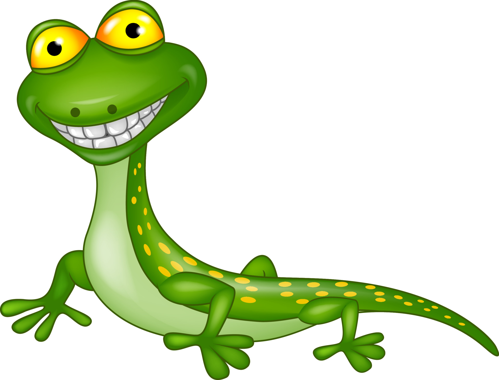 lizard