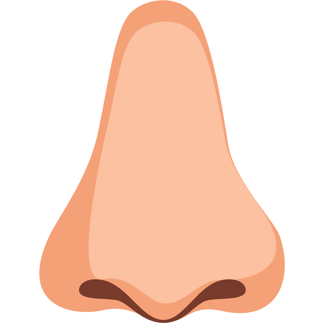 nose