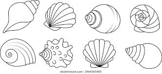 shell