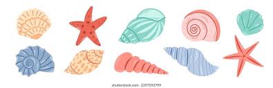 shells
