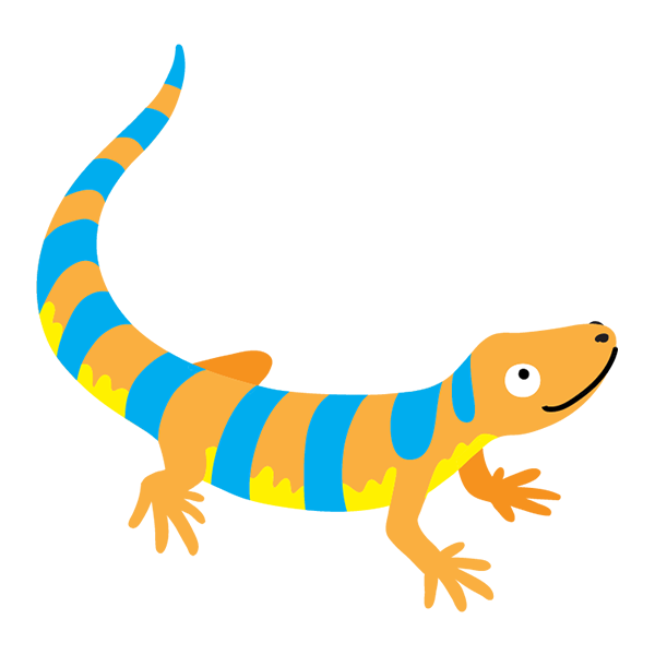 stripes