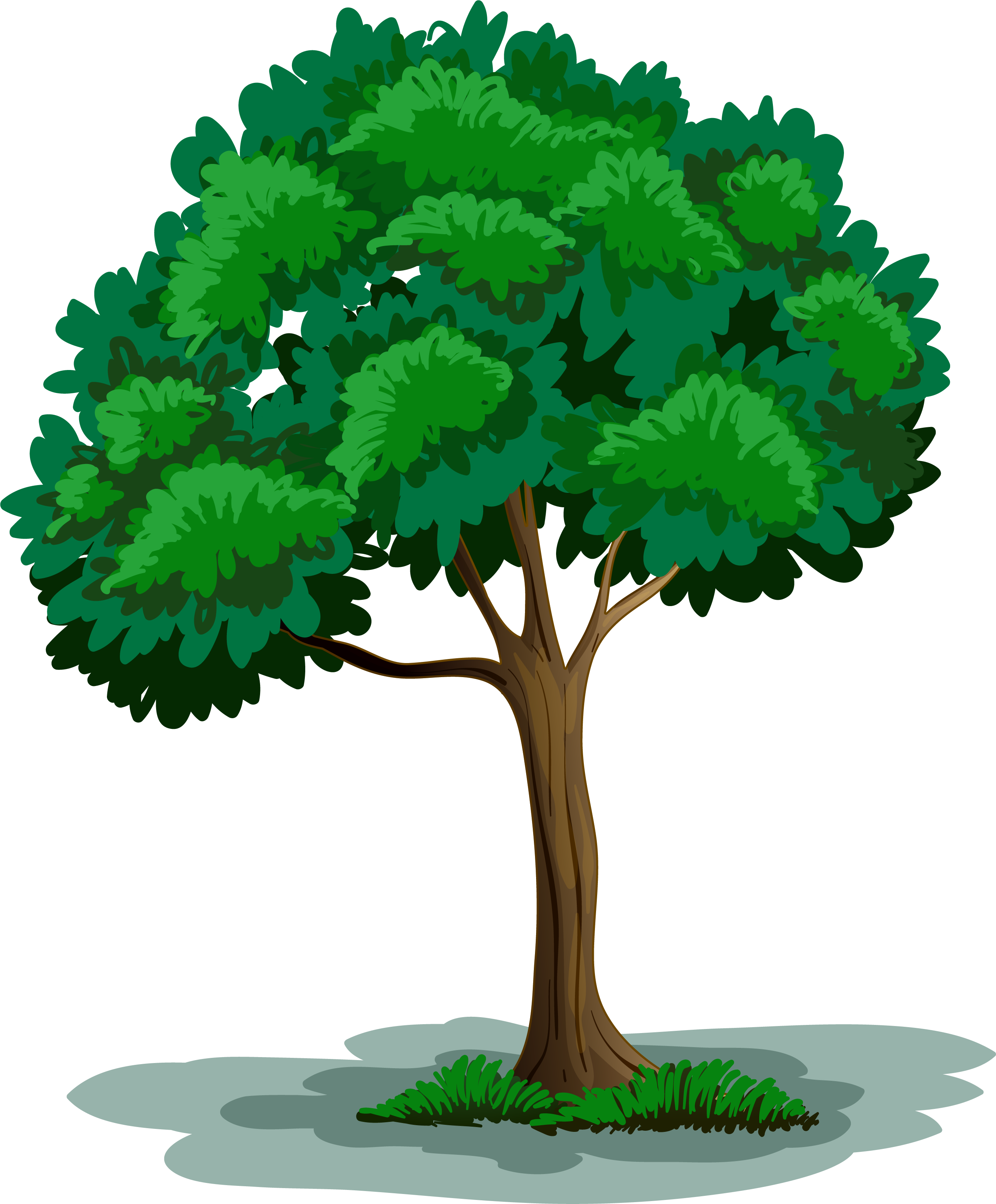 tree