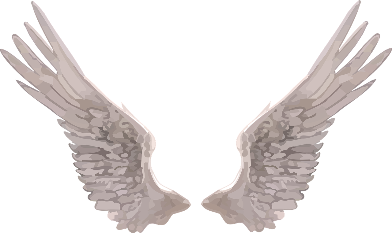 wings