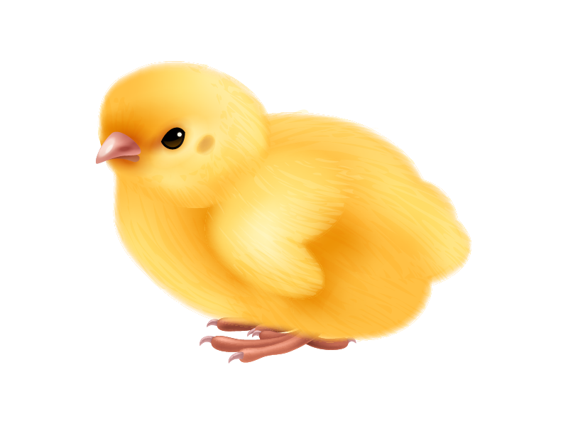 chick