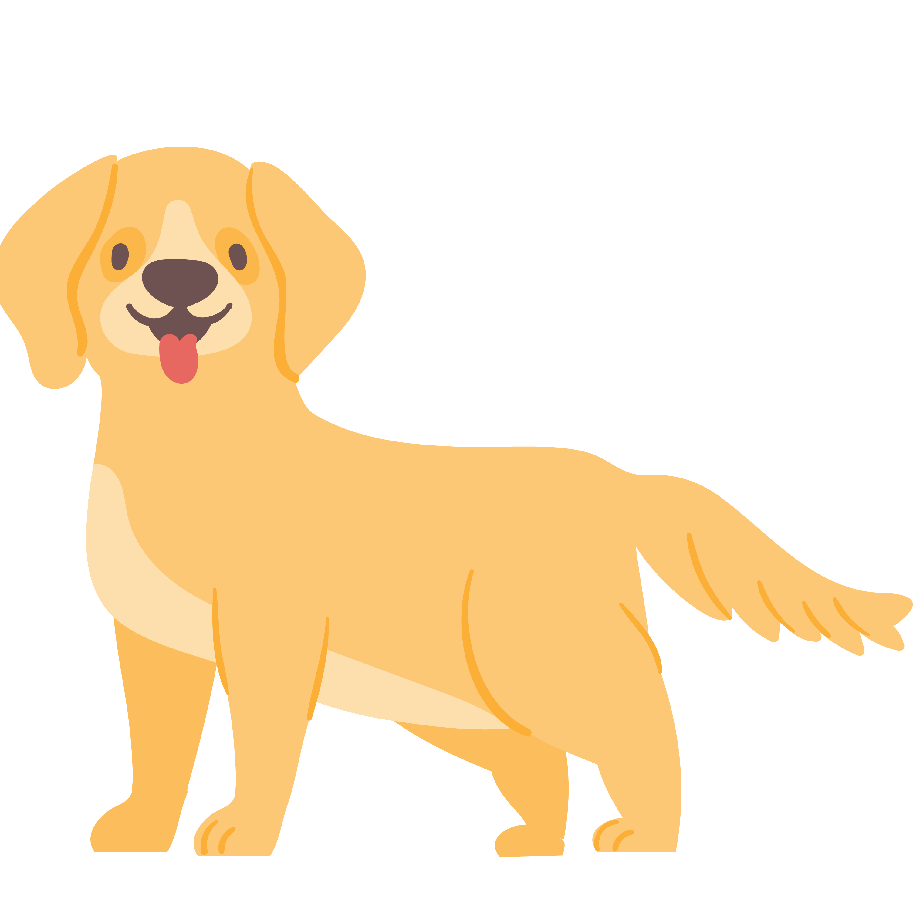 dog