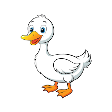 duck