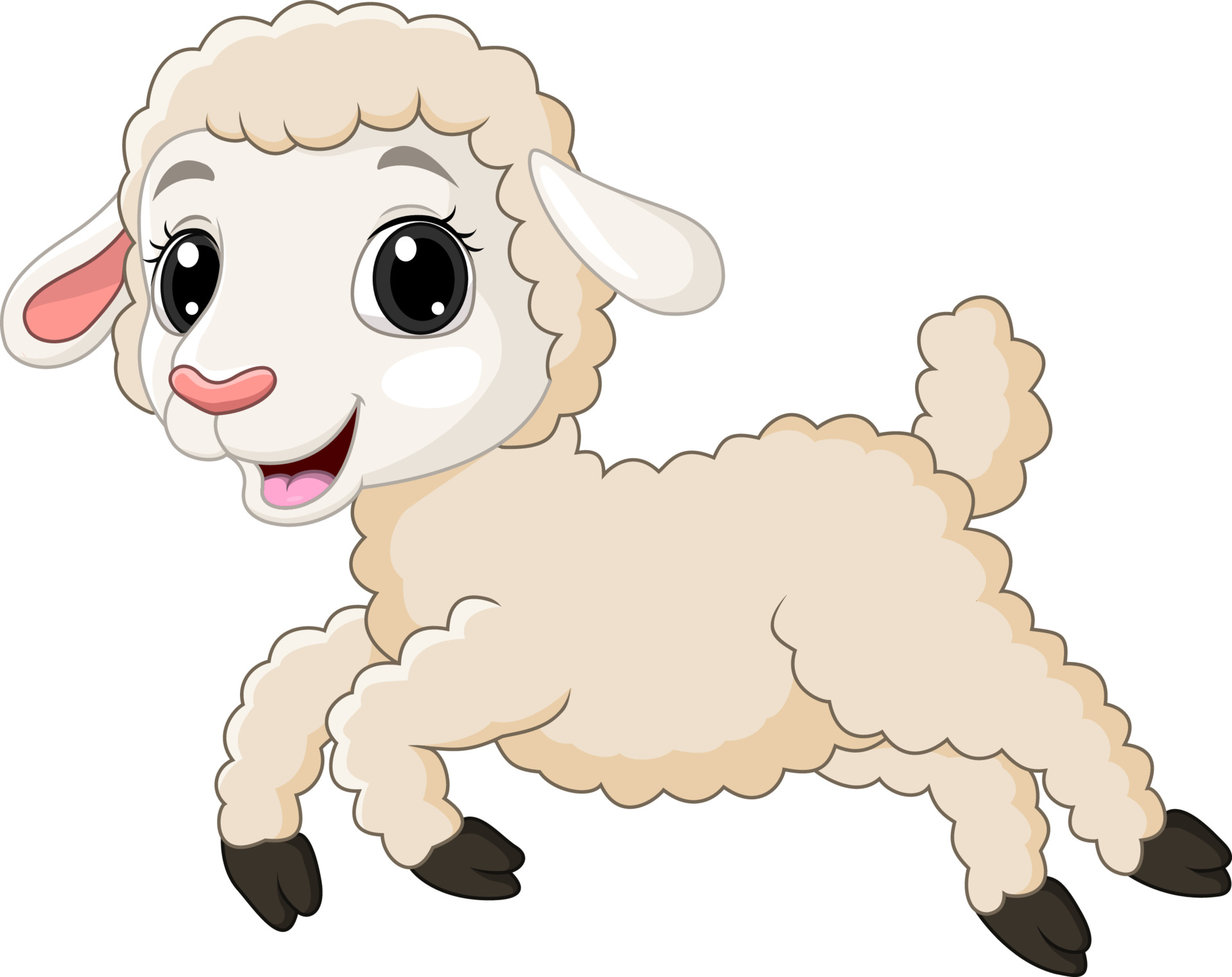 lamb