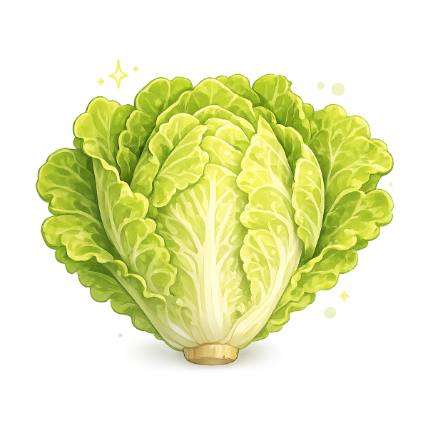lettuce
