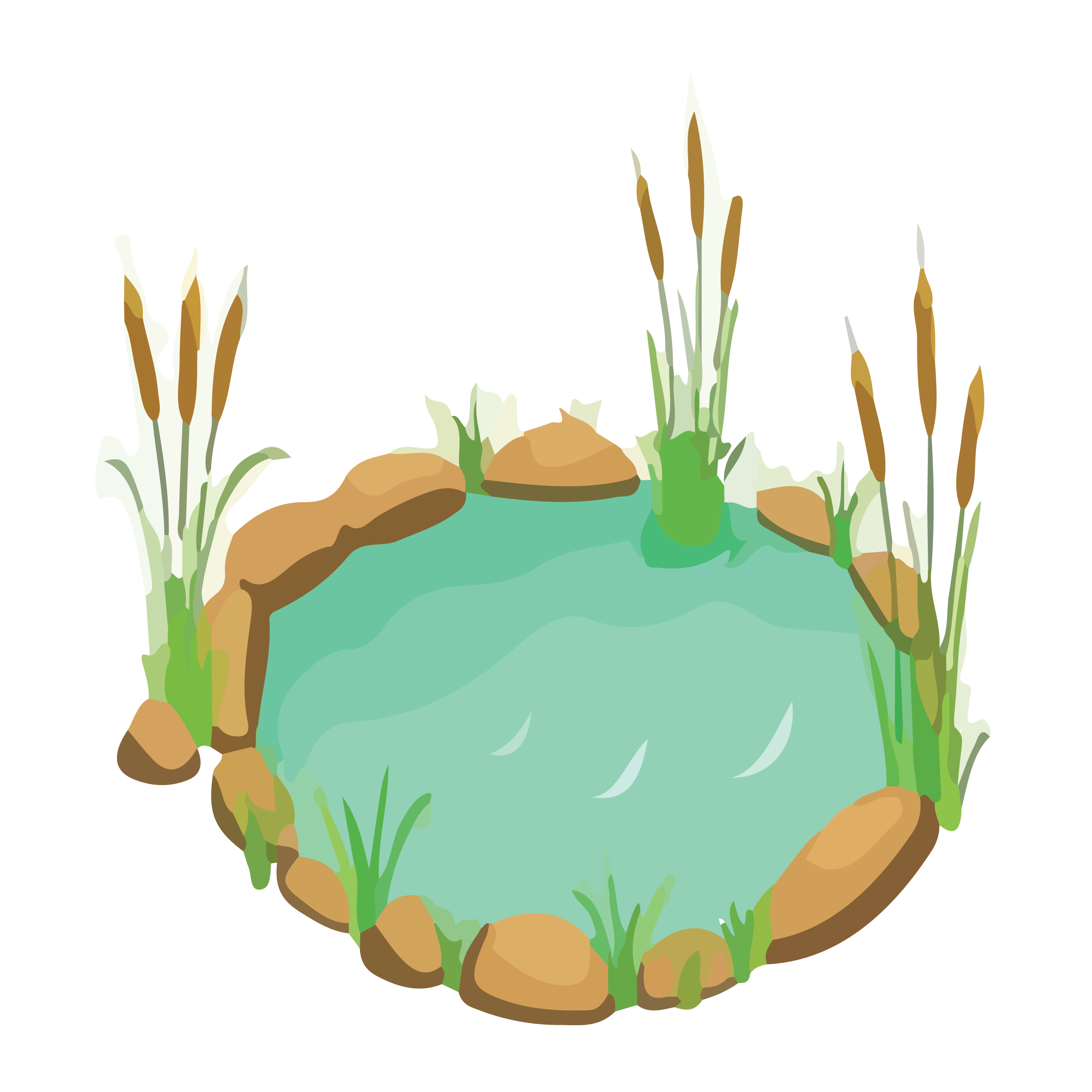 pond