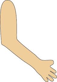 arm