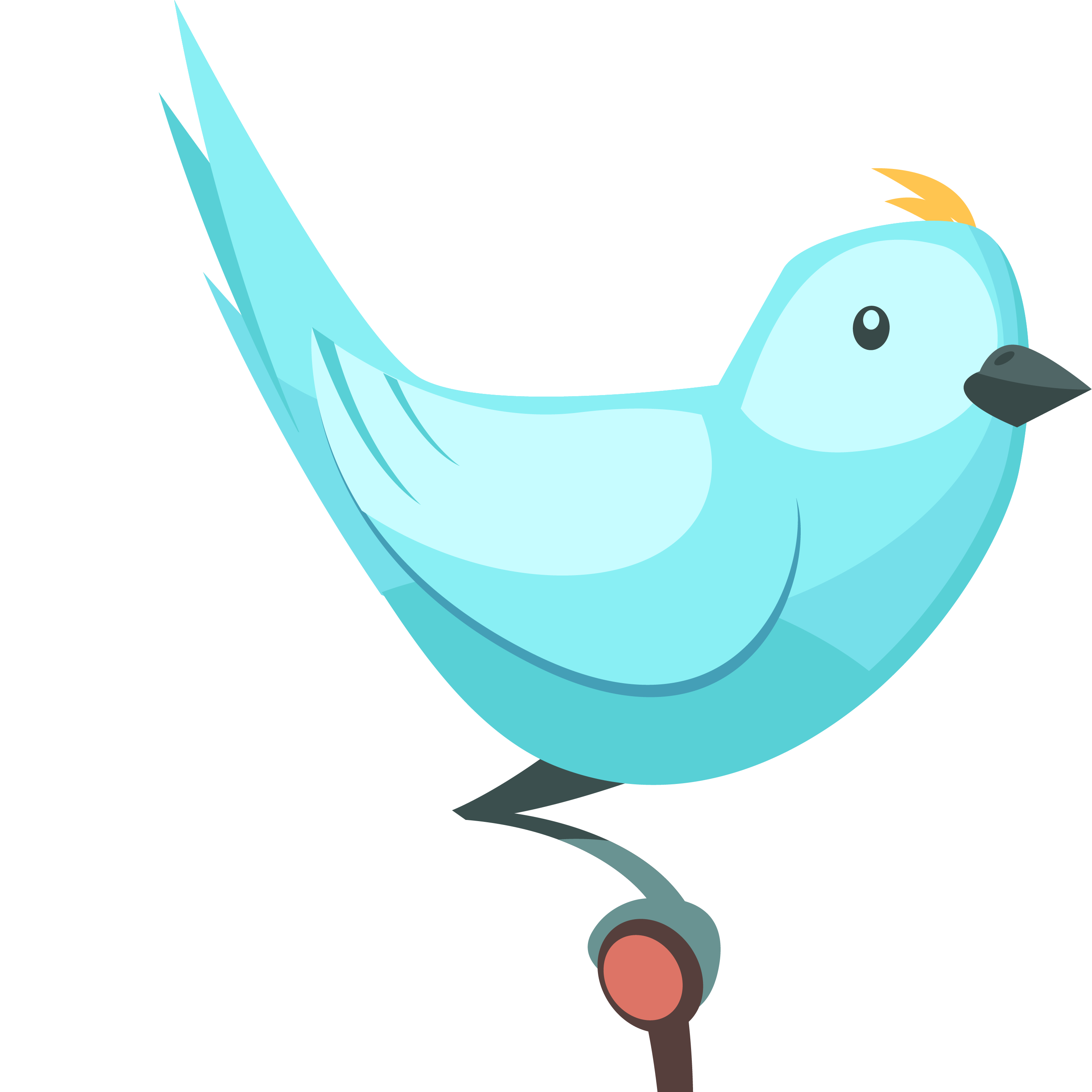 bird