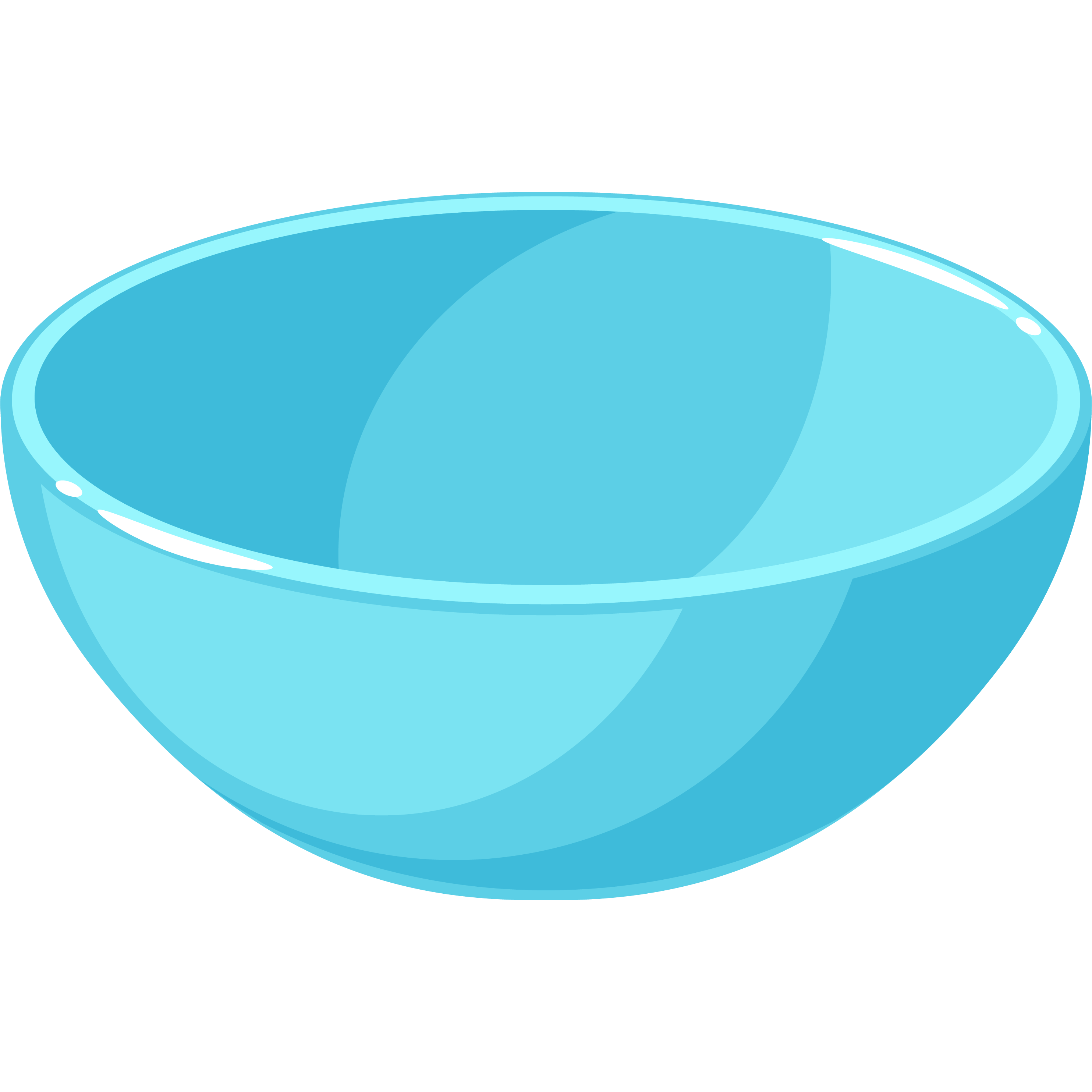 bowl