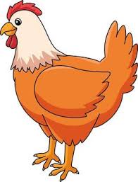 chicken