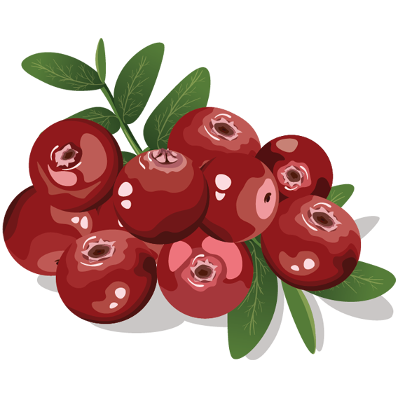 cranberries
