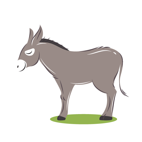 donkey