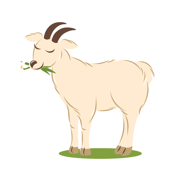 goat
