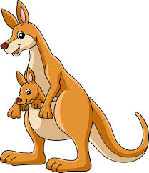 kangaroo