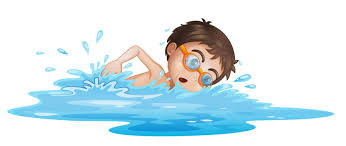 swam