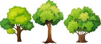 trees