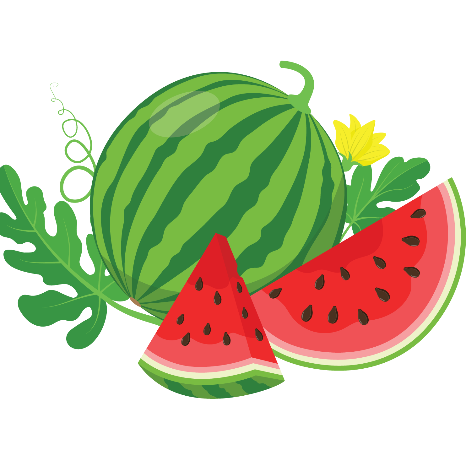 watermelons