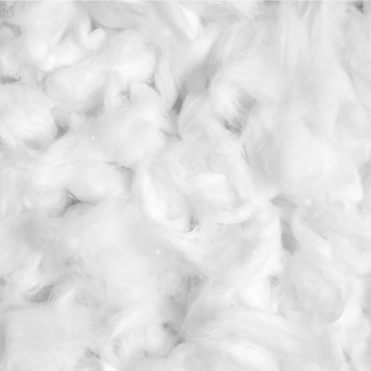 cotton