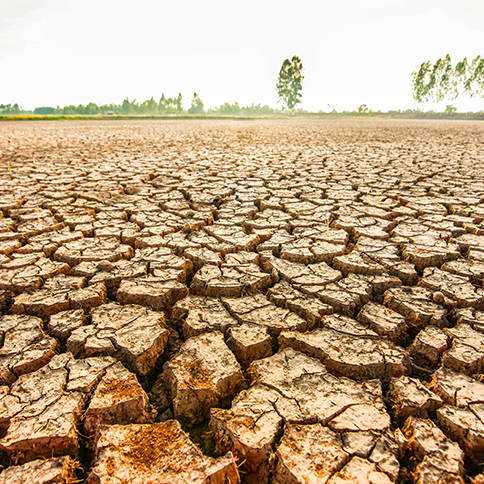 drought