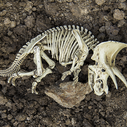 extinct