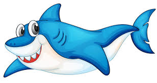 sharks