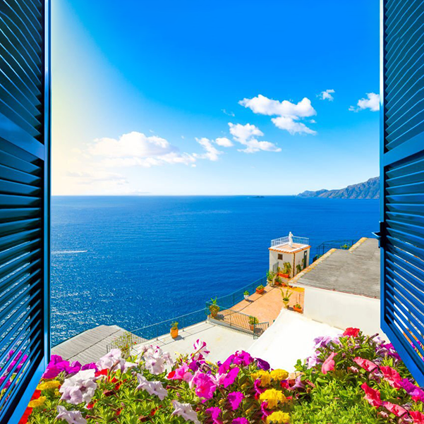 view