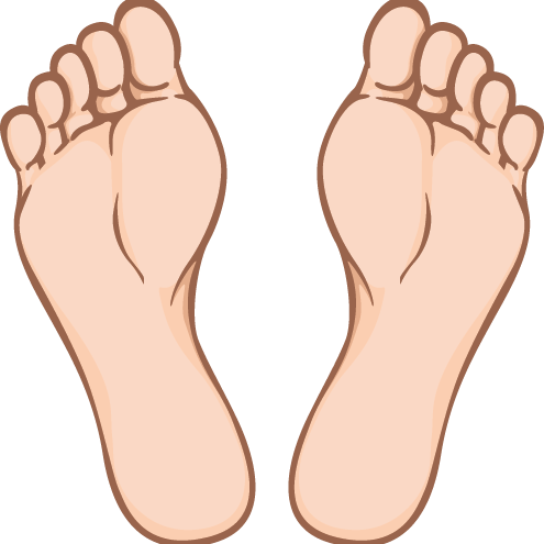 feet