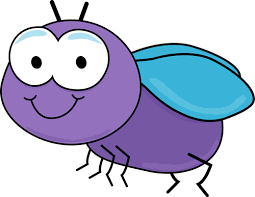fly