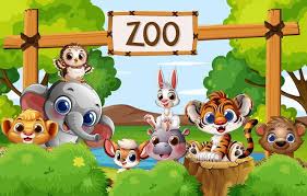 zoo